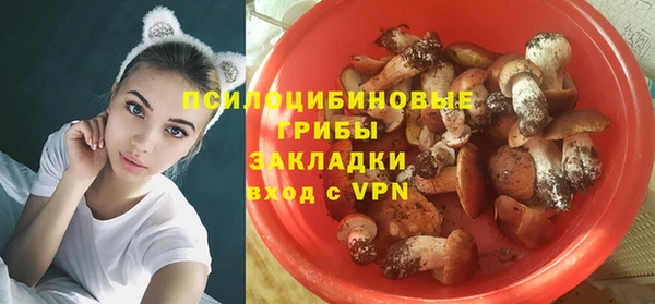 ГАЛЛЮЦИНОГЕННЫЕ ГРИБЫ Новозыбков