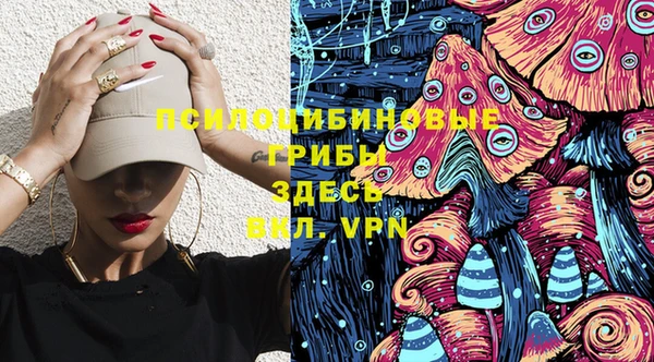 гидропоника Абаза