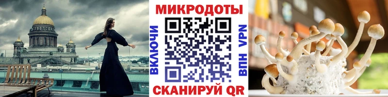 Псилоцибиновые грибы MAGIC MUSHROOMS  Усолье 
